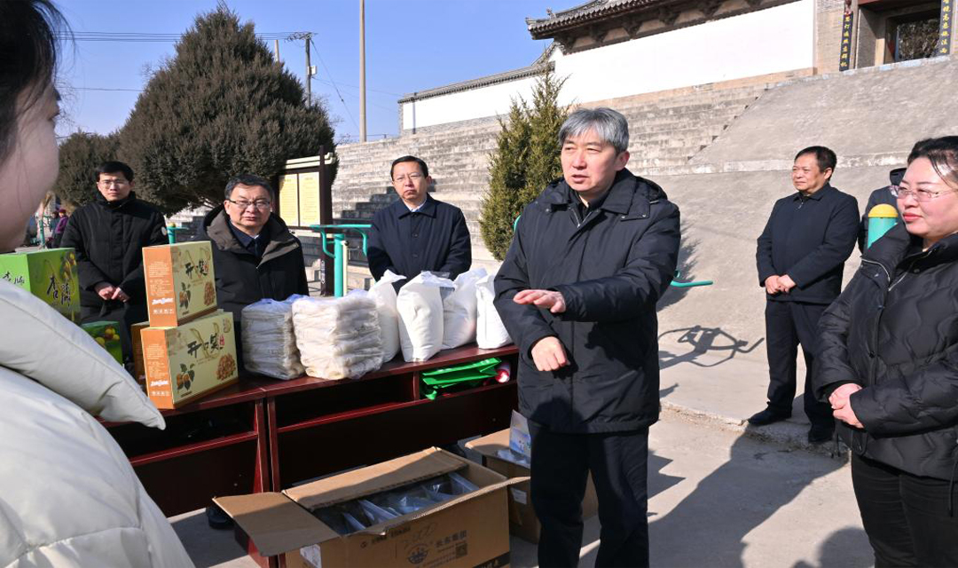 朱晓东在原平市调研 就乡村振兴便民服务文物保护利用等工作提出要求