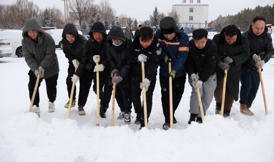 以雪为令 闻雪而动