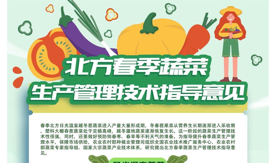 北方春季蔬菜种植管理技术指导意见