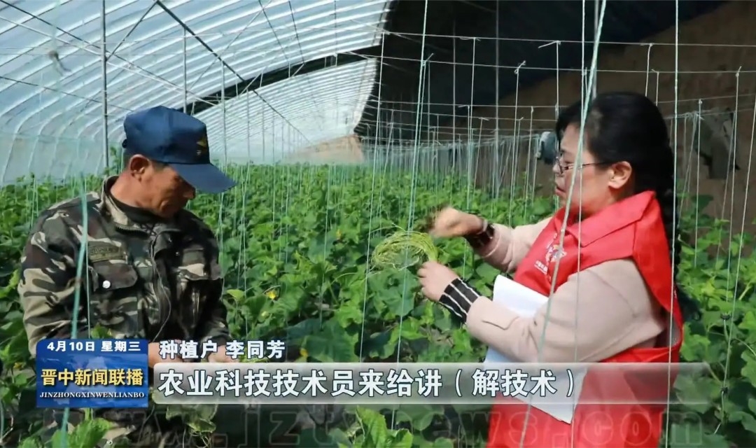 按下春耕&ldquo;农忙键&rdquo; 绘就一年好丰景