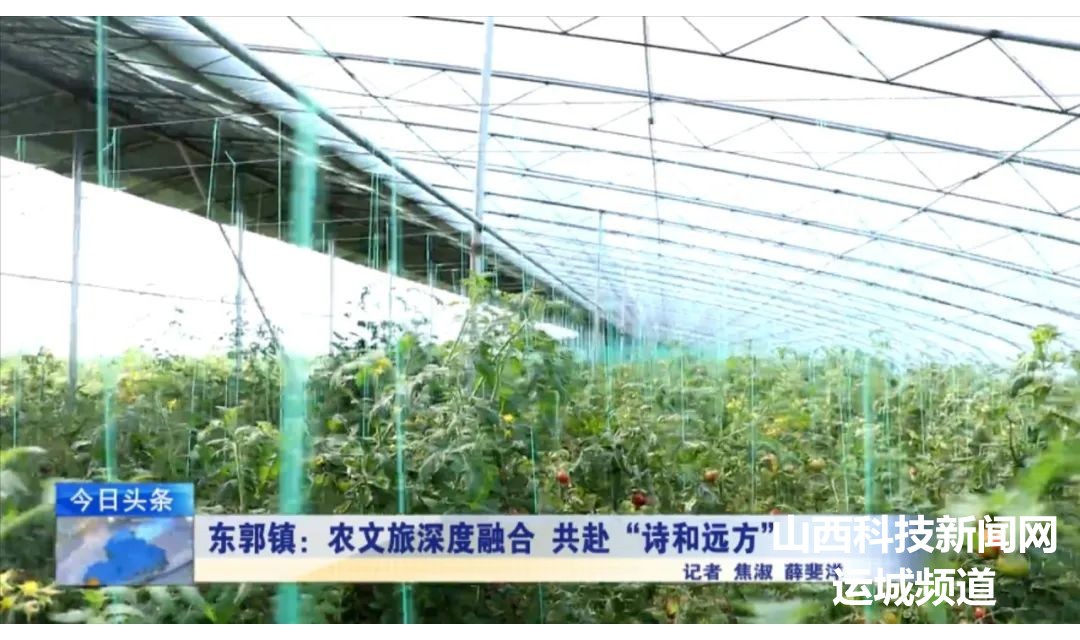 盐湖区东郭镇：农文旅深度融合&ensp;共赴&ldquo;诗和远方&rdquo;