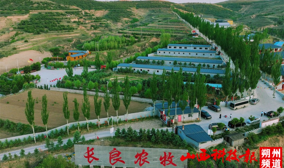 朔州：平鲁区长良农牧生态＋休闲助力乡村振兴