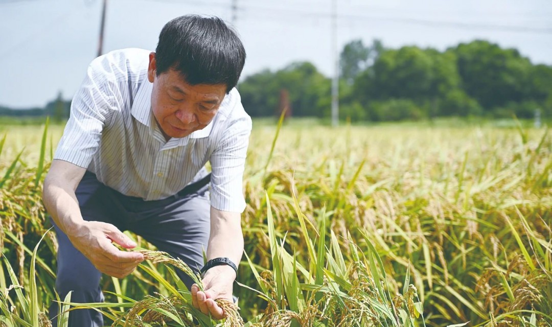 李家洋：国家需求植根于我的思想深处