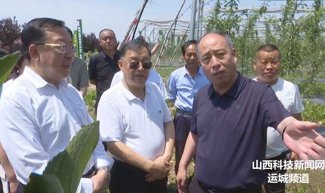 省人大常委会执法检查组在临猗县就《农业法》贯彻实施情况进行检查