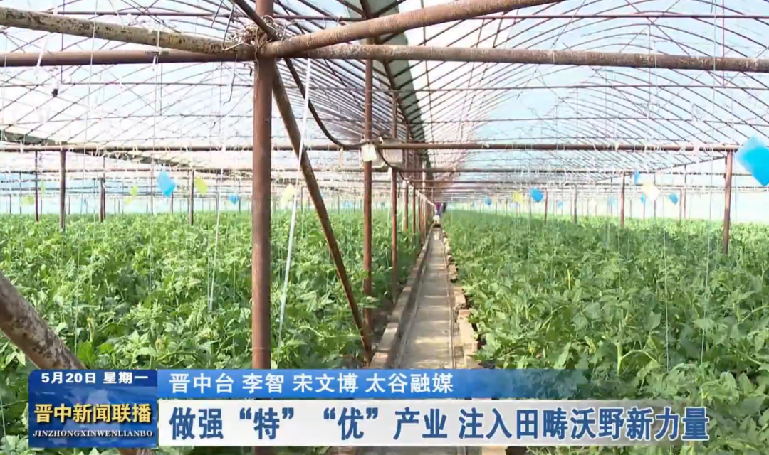 做强&ldquo;特&rdquo;&ldquo;优&rdquo;产业 注入田畴沃野新力量
