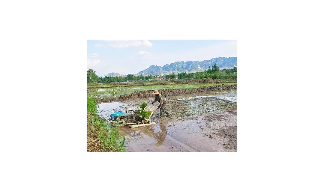 大同市灵丘县武灵镇南水芦村：稻蟹共生同致富 综合种养铺金路