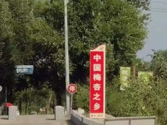 &ldquo;梅杏&rdquo;之乡闻名远杨