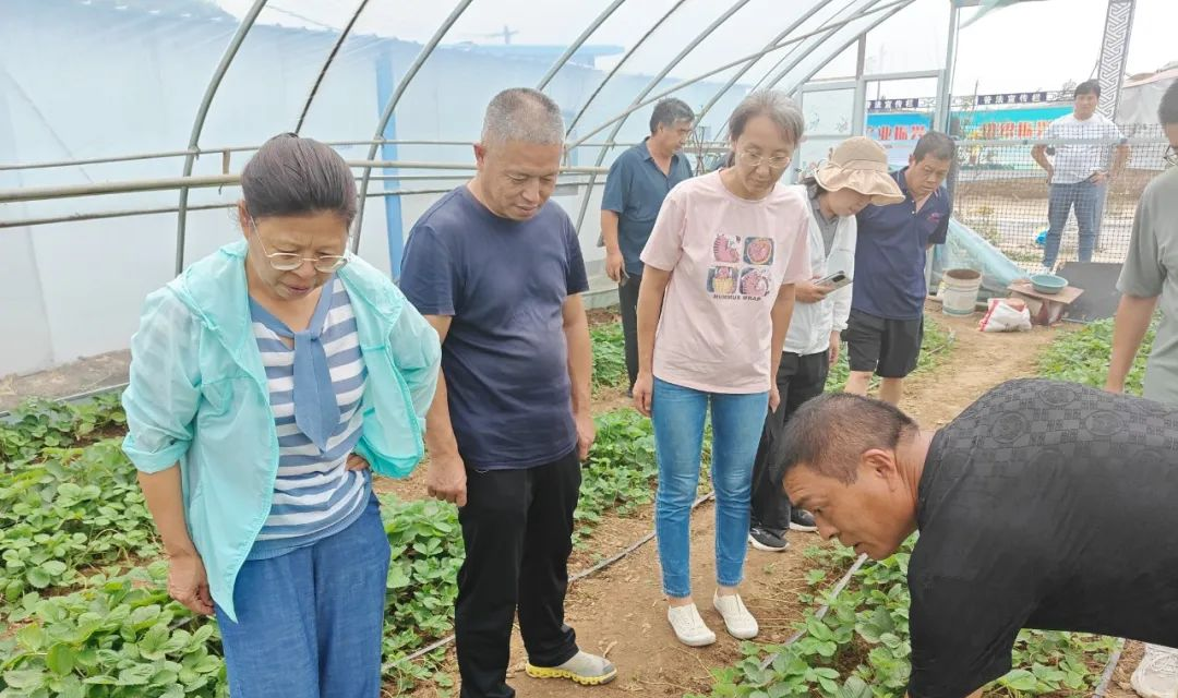 绛县：农技人员乡村忙 特色水果产业迎良方