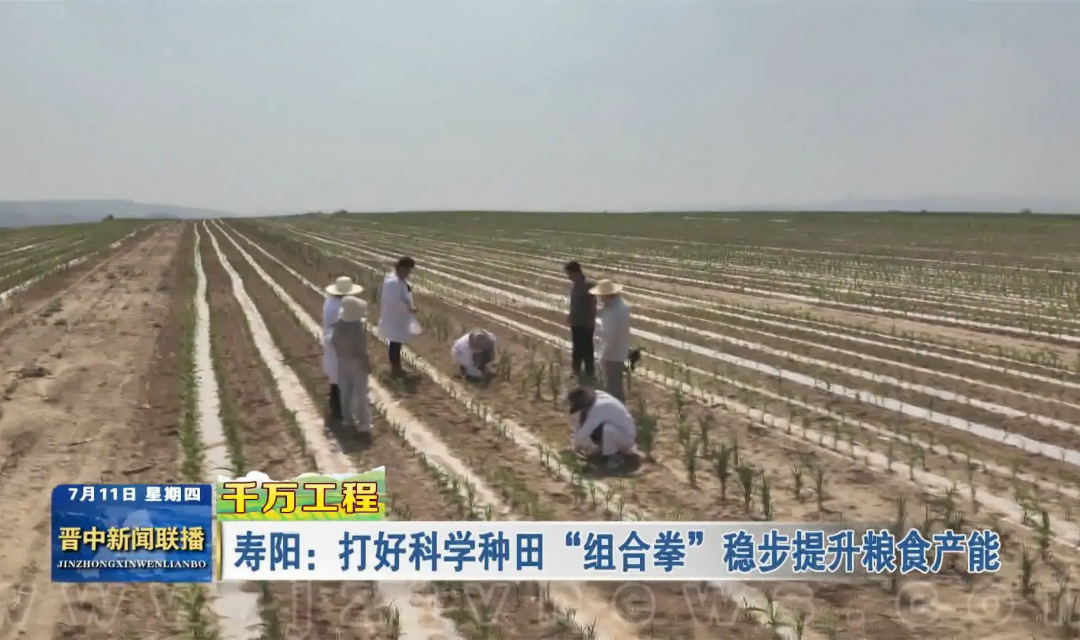 【千万工程】寿阳：打好科学种田&ldquo;组合拳&rdquo; 稳步提升粮食产能