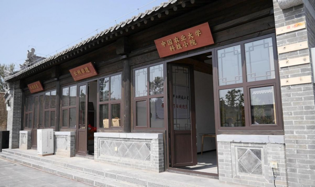 中国农大大同黄花产业科技小院、教授工作站揭牌仪式在云州区举行