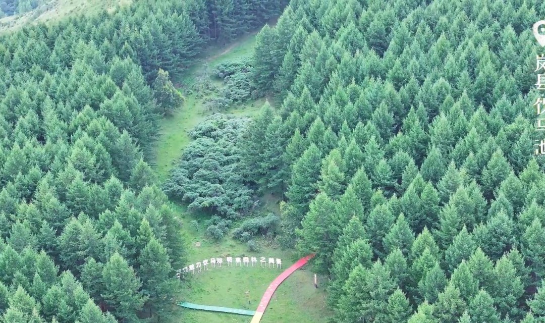 享受夏日的清凉与舒爽，领略饮马池之美景