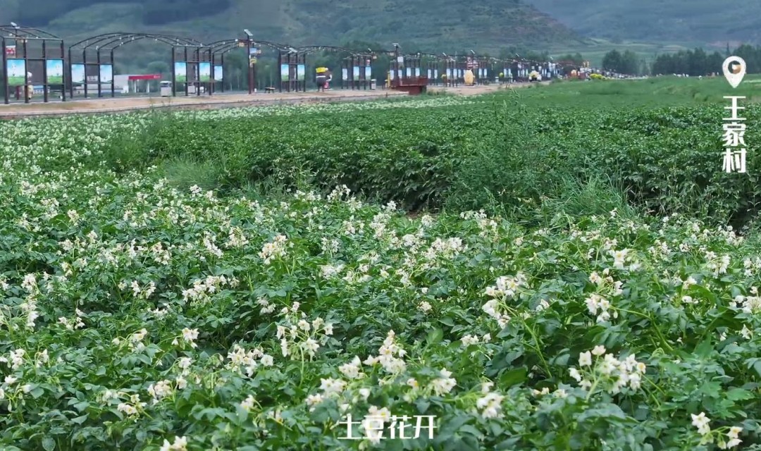 王家村，一个被岁月温柔以待的地方
