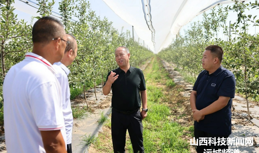【临猗】靳国全在调研&ldquo;郇阳果园&rdquo;时强调：做优品质 打响品牌 推动果业产业高质量发展