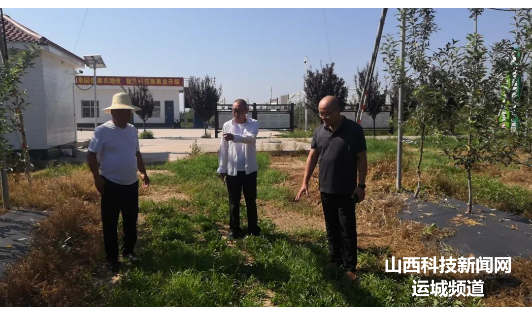 临猗现代农业产业示范区：深化校地合作 擦亮果业名片