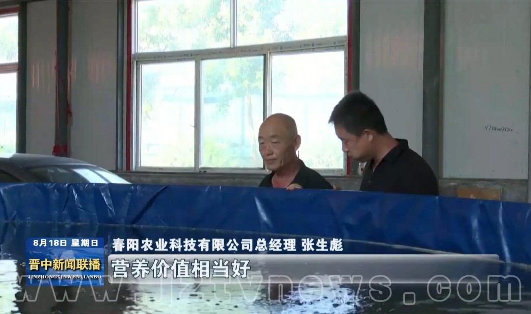 【千万工程】祁县&ldquo;鱼菜共生&rdquo;助力农民就业增收