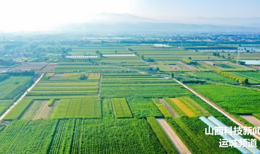 山西夏县:蚕桑绿满园