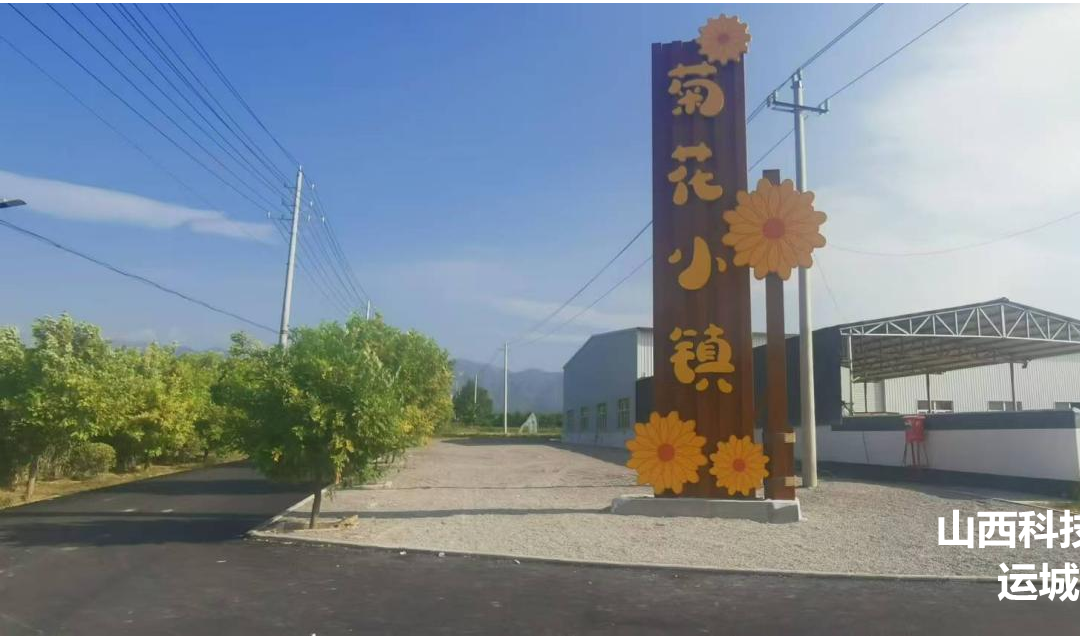 芮城菊花小镇开园迎客