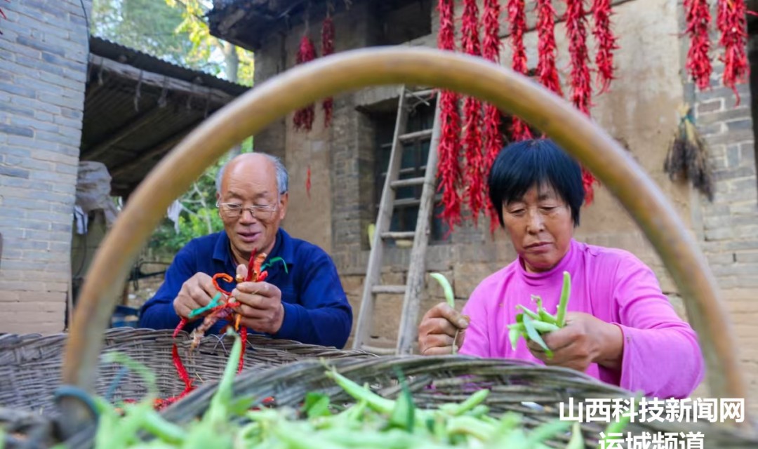 夏县:守住&ldquo;撂荒田&rdquo;收获新希望