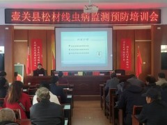 壶关县松材线虫病监测预防：守护绿色森林的保障