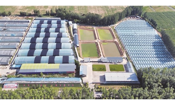 榆社县三和农牧渔有限公司带动村民增收致富