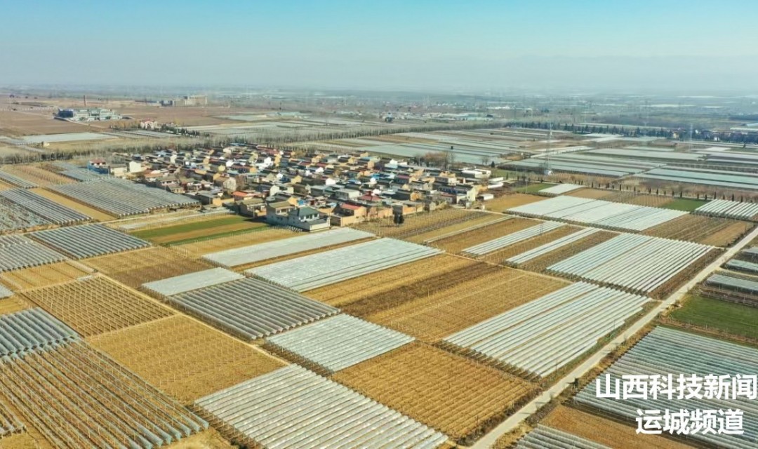 夏县:葡萄遮雨棚搭建忙