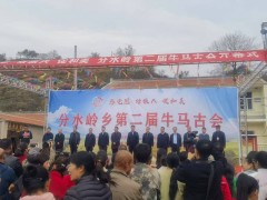 武乡县：做好&ldquo;牛&rdquo;文章 壮大&ldquo;牛&rdquo;产业