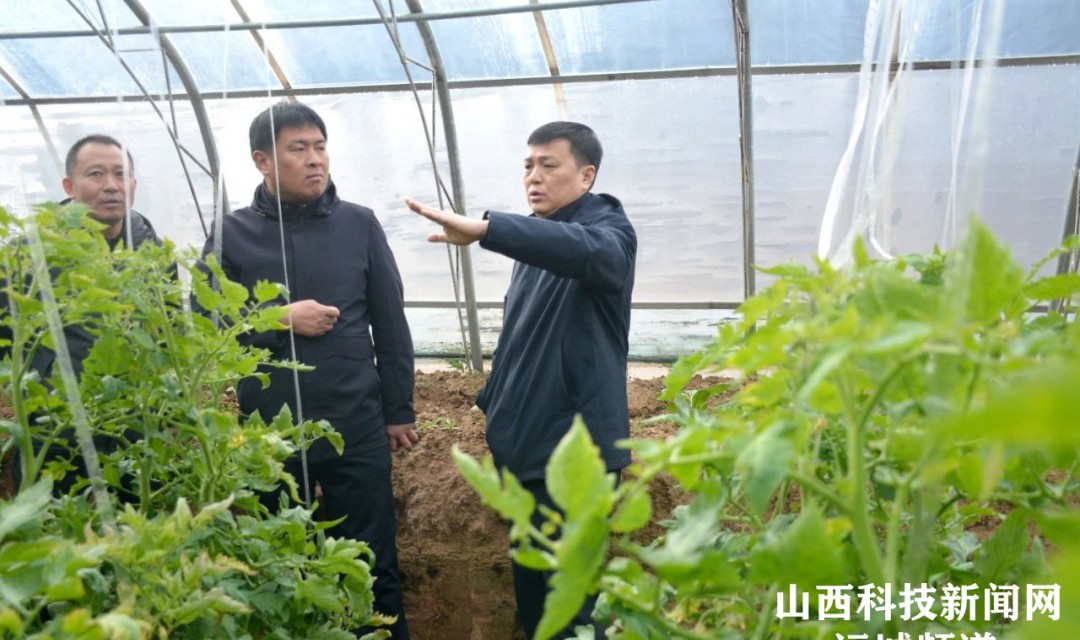 【河津】王云调研农业农村及春耕备耕工作时强调：以党建引领基层治理 助推乡村全面振兴