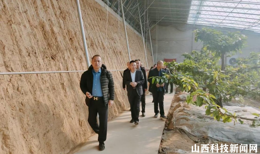 孝义市农业农村局组织相关人员赴平陆县考察学习大棚樱桃种植经验