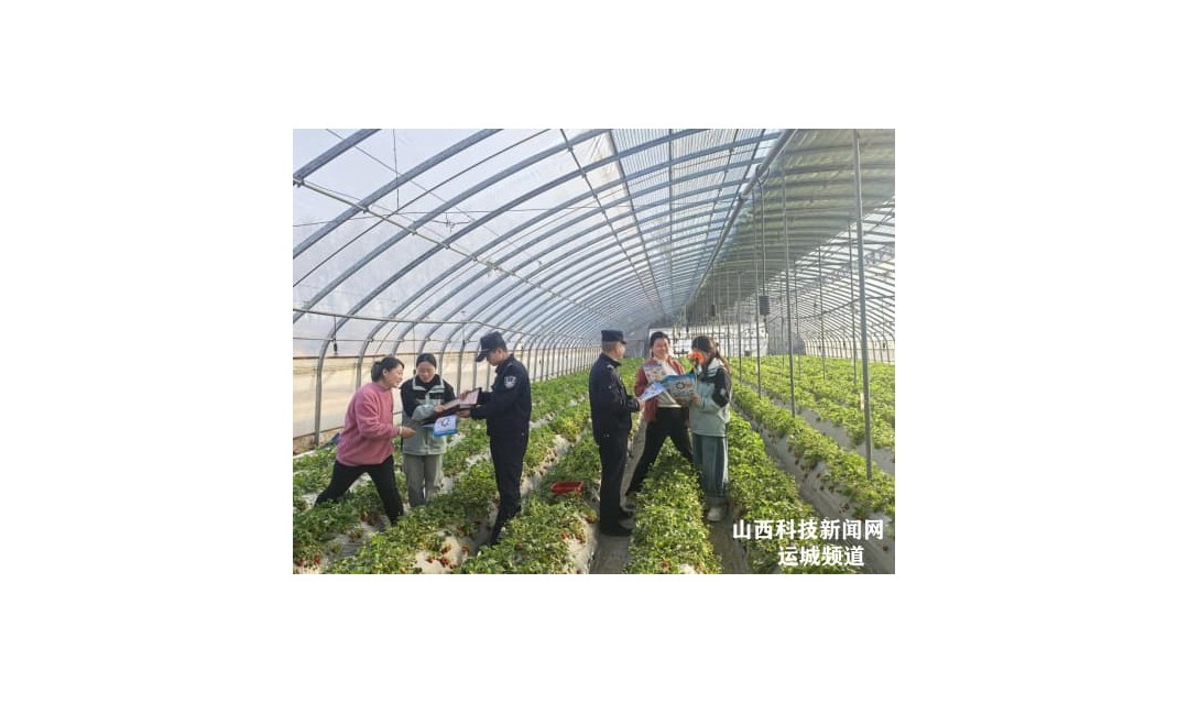 河津禁种铲毒行动，守护春耕净土
