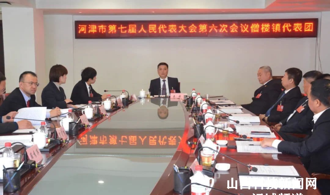 王云参加僧楼镇代表团审议
