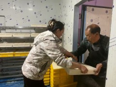 &ldquo;磨&rdquo;出致富路：厨师郑军的豆腐事业