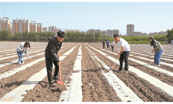 介休市宋古乡 &ldquo;两亩试验田&rdquo;育出乡村振兴&ldquo;多面手&rdquo;