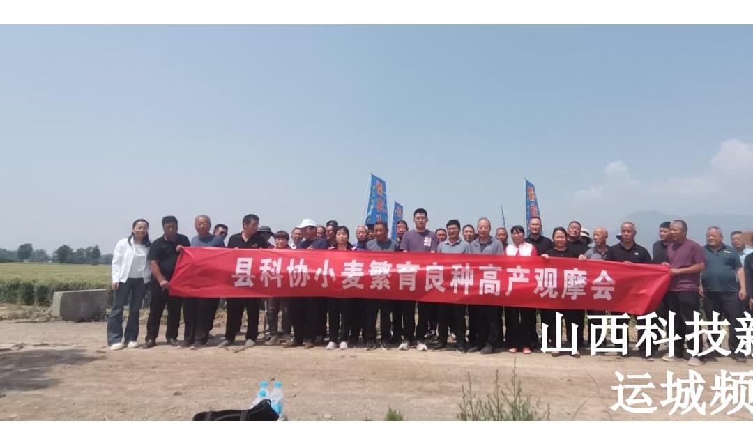 新绛县科协举办小麦良种高产现场观摩活动