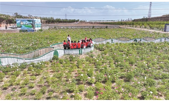 介休市绵山镇 &ldquo;农文旅+研学&rdquo; 开辟乡村振兴新模式