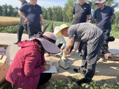 长子县：麦浪金黄测产忙 科学数据绘丰年