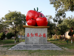 壶关农商银行金融&ldquo;活水&rdquo;浇灌旱地西红柿产业&ldquo;致富花&rdquo;