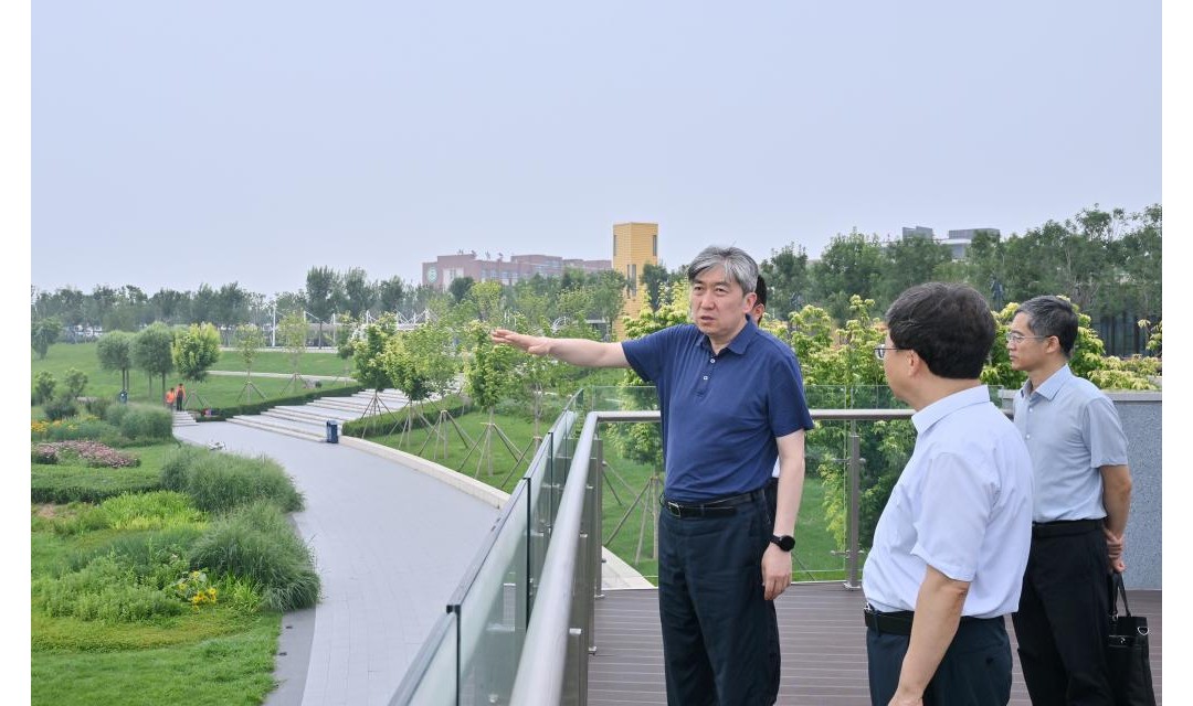 朱晓东在忻府区调研牧马河生态公园项目建设及管理养护工作