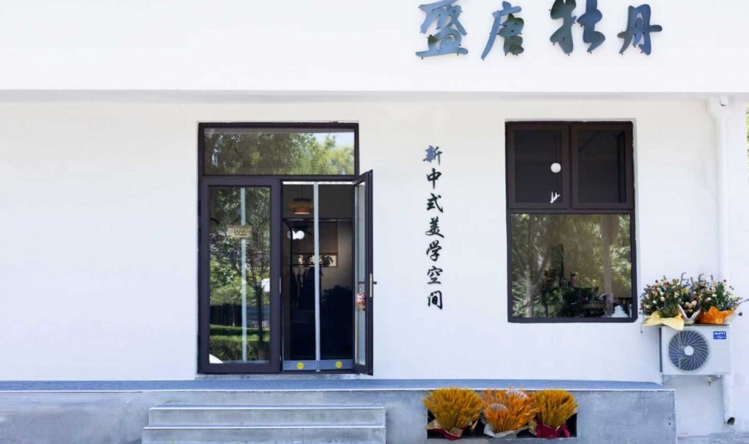 盛唐牡丹忻州店：让非遗在小城服饰里流转东方美