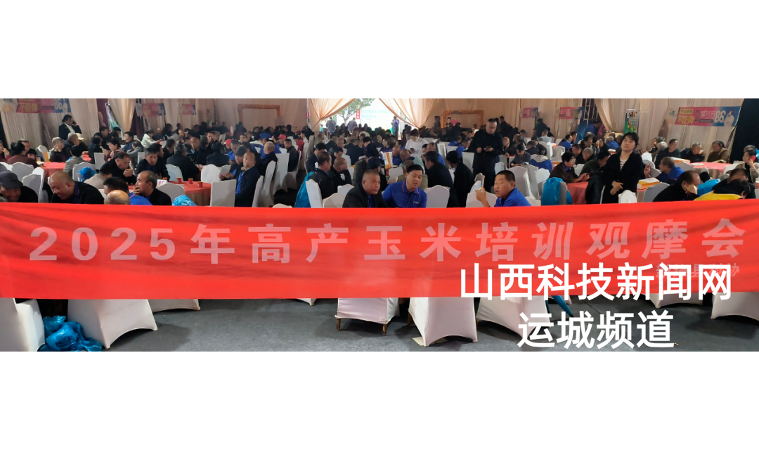 新绛县科协举办2025年高产玉米培训观摩会