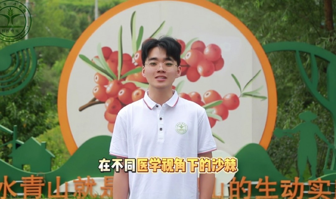 不同医学视角下的沙棘