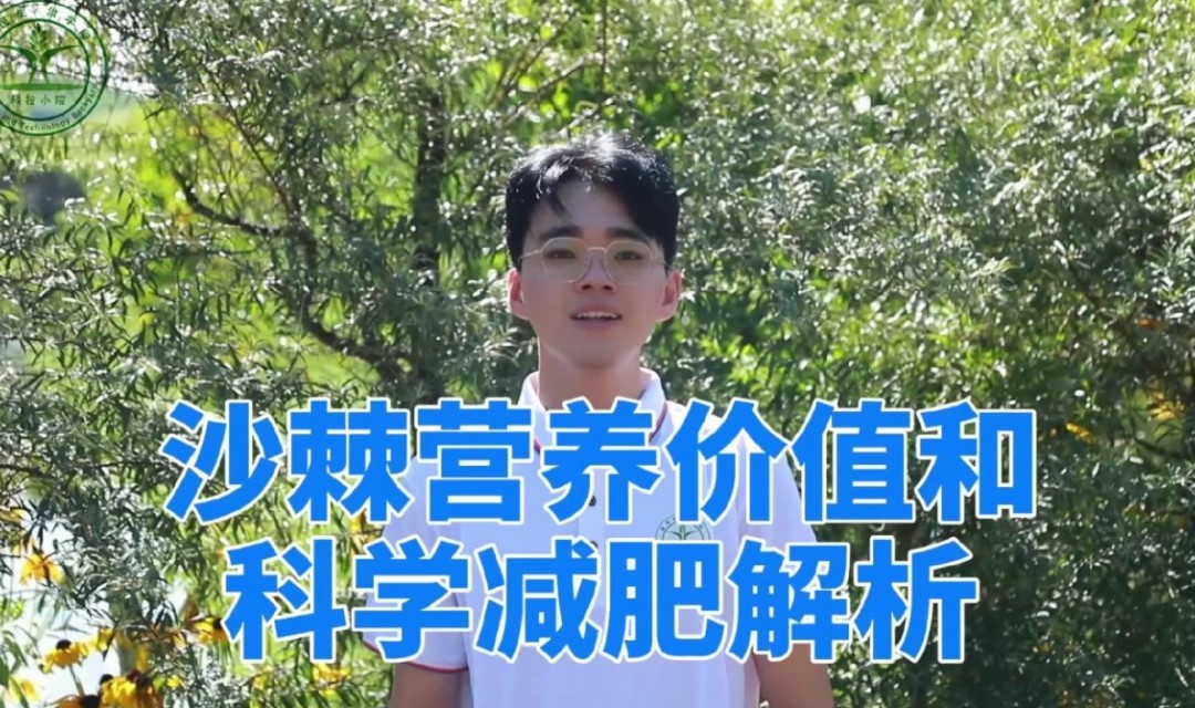 沙棘营养价值和科学减肥解析