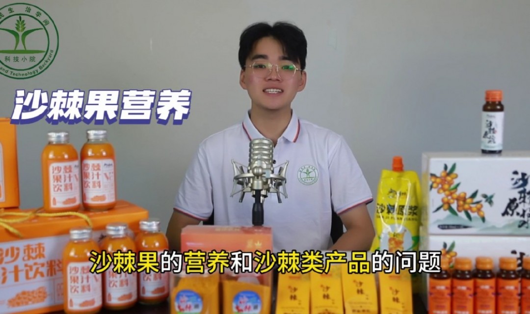 沙棘营养和沙棘类产品