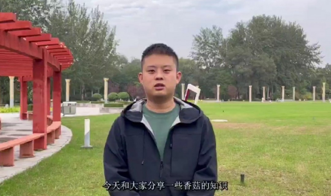 香菇知识