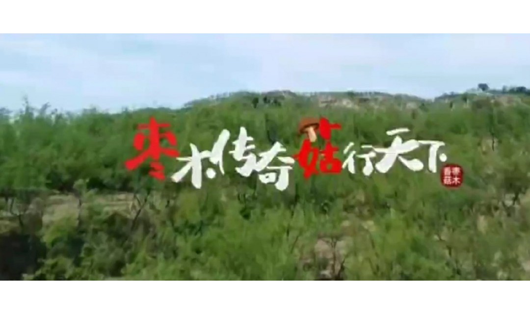 临县枣木香菇