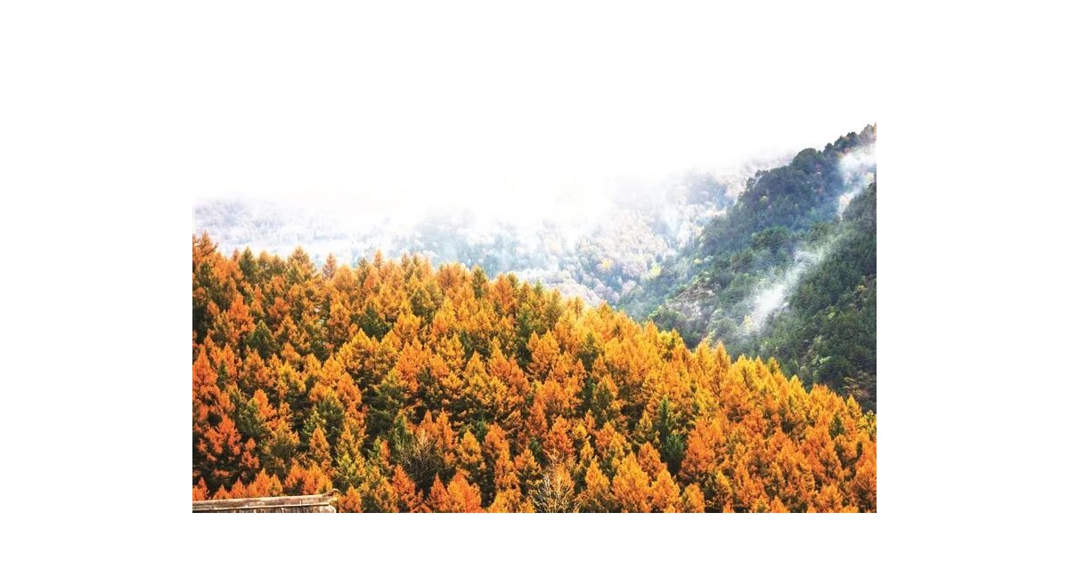 五台山：净土涵万物  奇境育生机