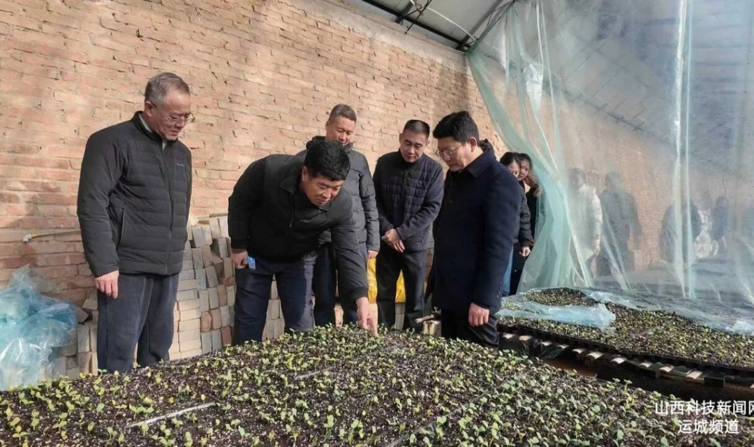 运城市科协深入夏县瓜果科技小院走访服务