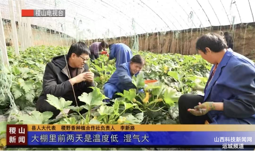 【人大之声】李新路：大棚里的&ldquo;代表梦&rdquo;  滩涂地的&ldquo;致富经&rdquo;