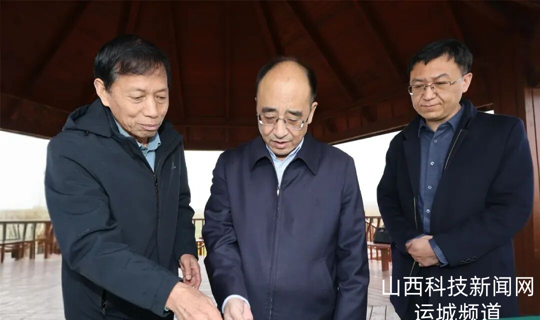 姚逊到盐湖区调研米槐产业发展