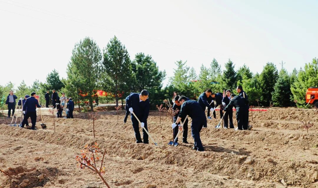 朔城区四套班子领导参加义务植树活动